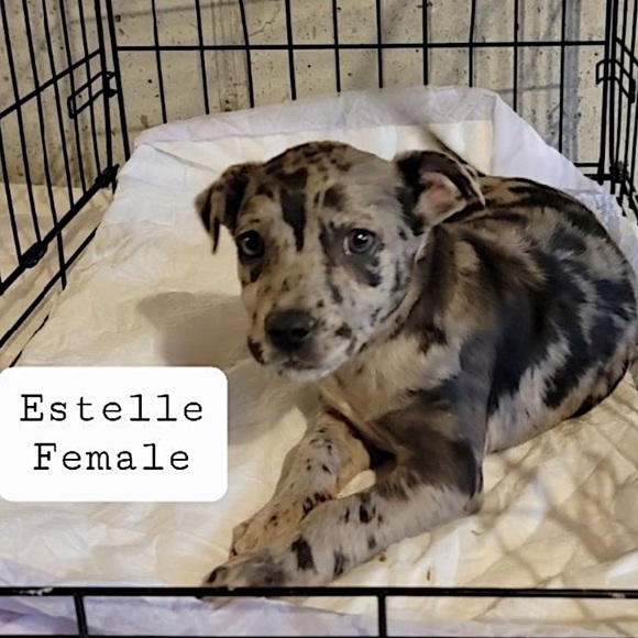 Posh Ambassador for Jane Iredale 🥰 - Picture 6 of 16